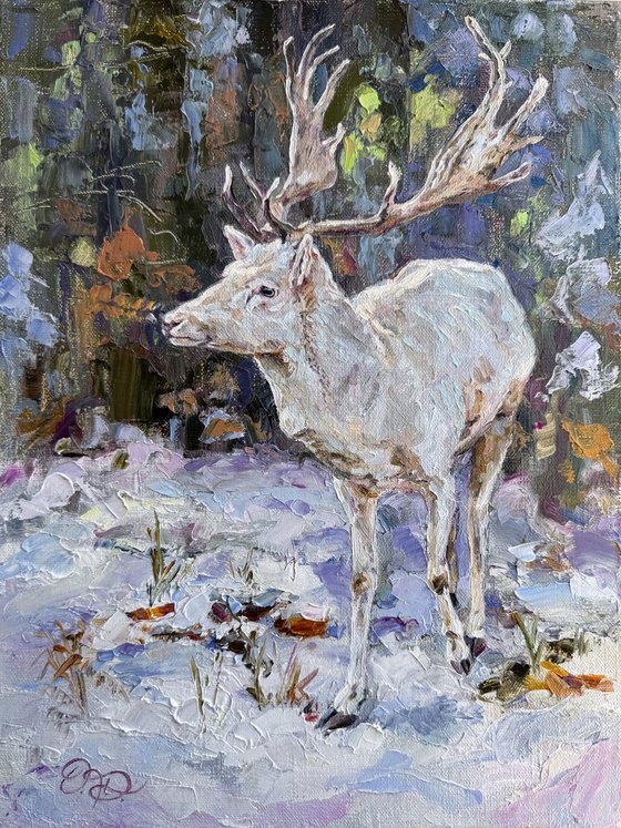 The first snow