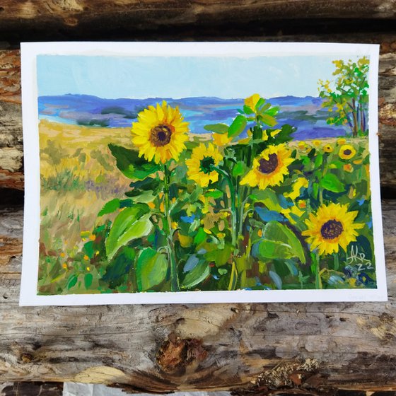 Sunflower field - Landscape - Gouache