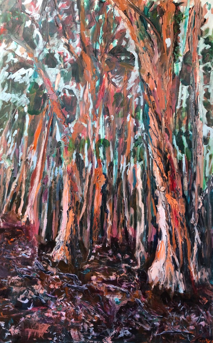 EUCALYPTUS FOREST by Maureen Finck