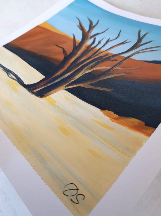 Desert Acacia