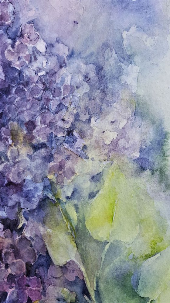 watercolour LILAC I flower painting 24x32