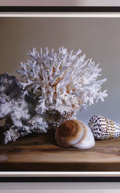 Coral by Natalya Osadcha