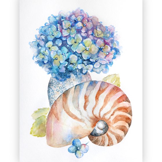 Watercolor blue hydrangea in vase and sea shell nautilus