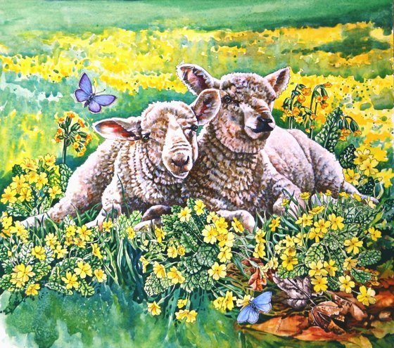 Spring Lambs