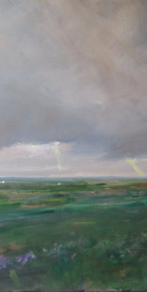 Winter Heather by Malcolm Ludvigsen