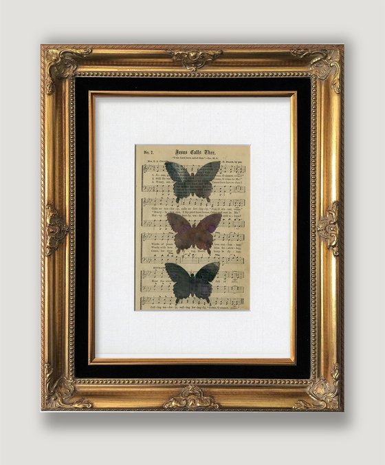 Butterfly Medley 16