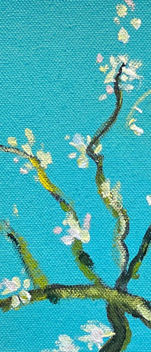 Almond Blossoms by Shabs  Beigh