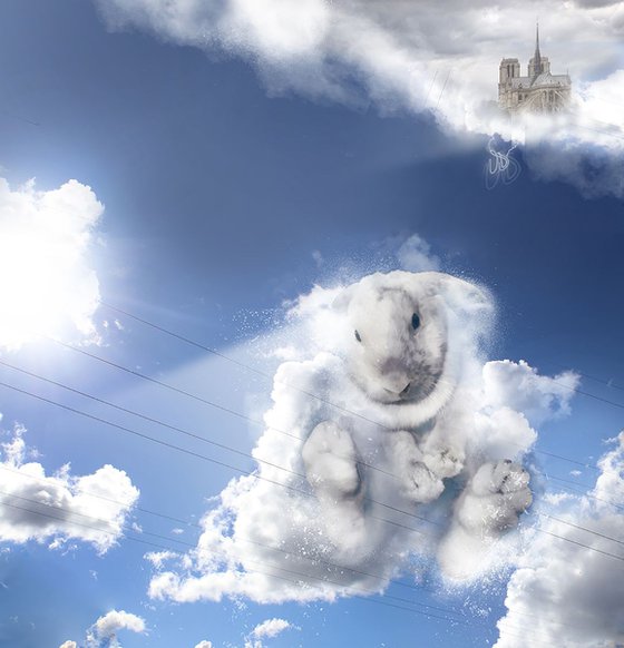 Bunny Cloud