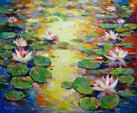 Evening pond with lilies