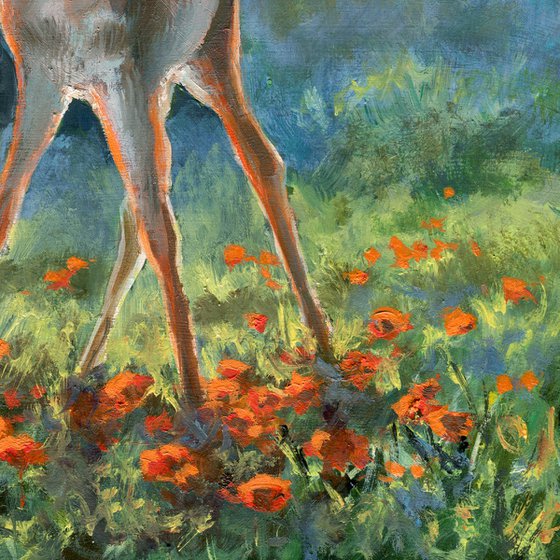 'Playing among the poppies'