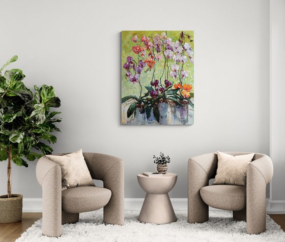 Colorful Orchids