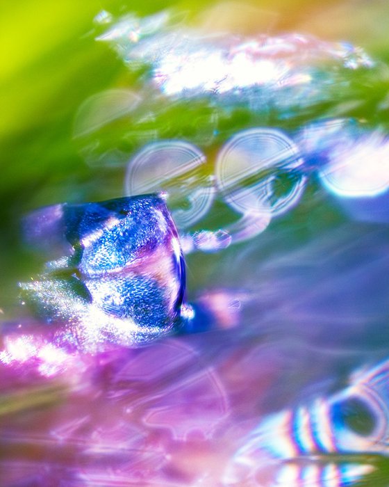 The Watcher - studio edition