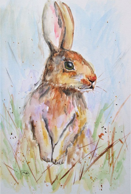 Hare standing