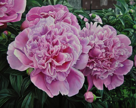 Peonies IV, Oil on Canvas Art