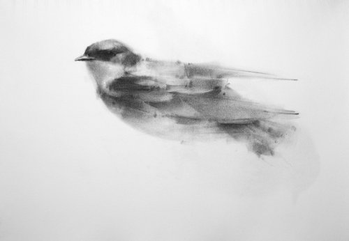tree swallow I by Tianyin Wang