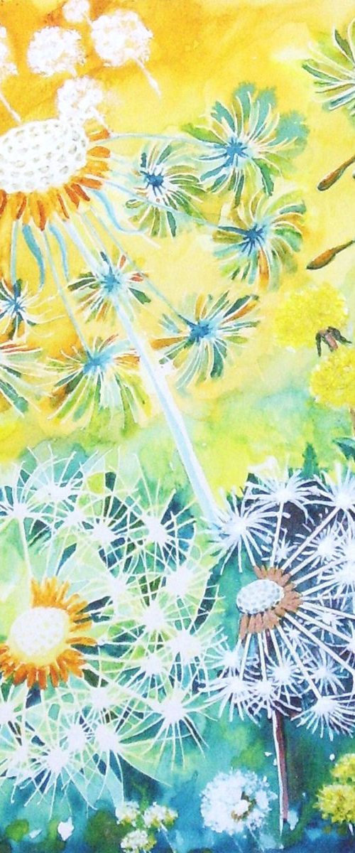 Dandelion Clocks 2 by Max Aitken