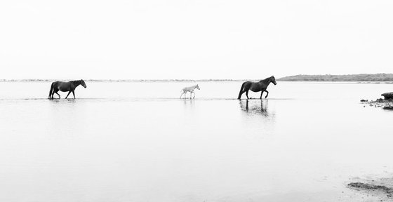 WALKING ON WATER.