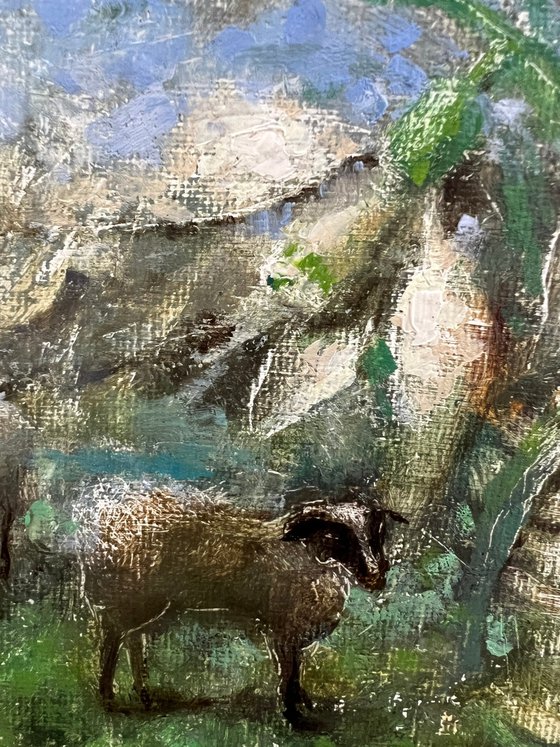 Sheep Snowdrops Pastoral Landscape