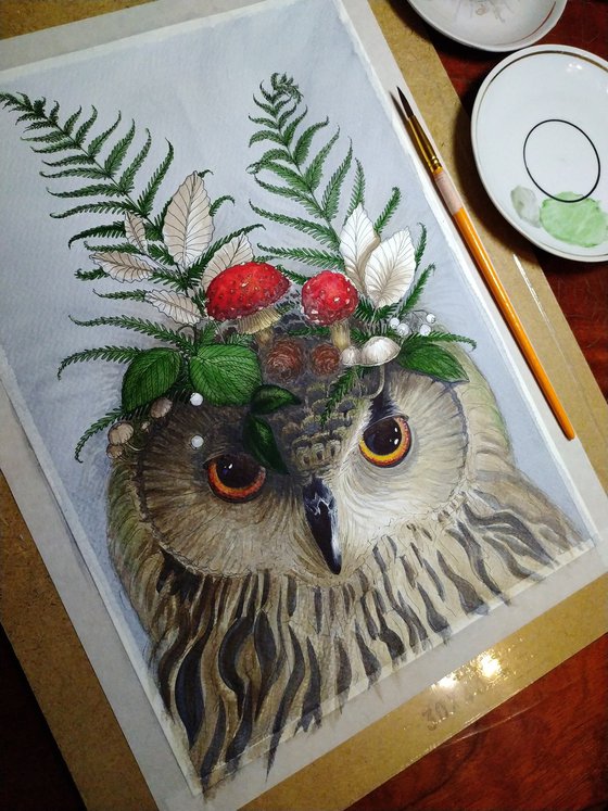 Forest owl