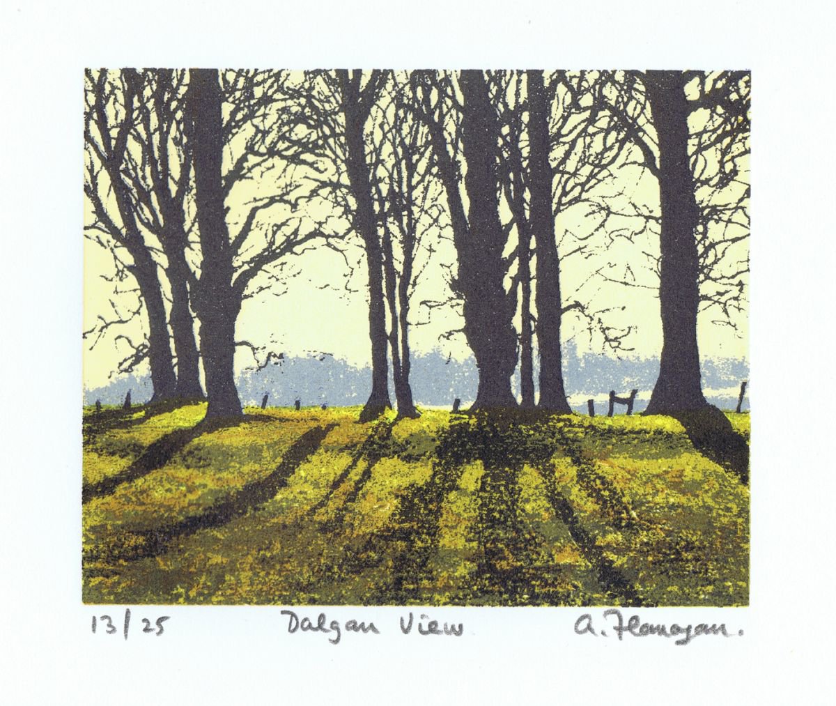 Dalgan View by Aidan Flanagan Irish Landscapes