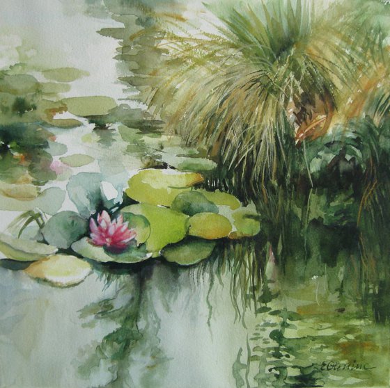 Waterlilies