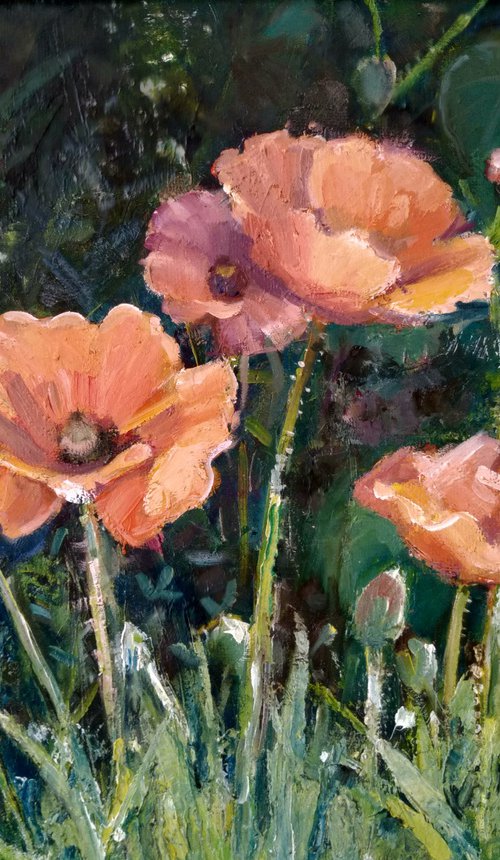Poppies by Valentina Andrukhova