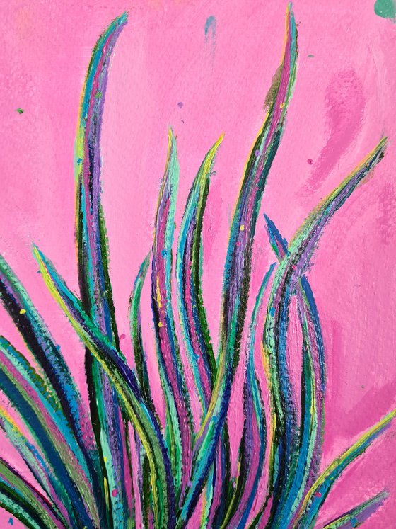 House Plant