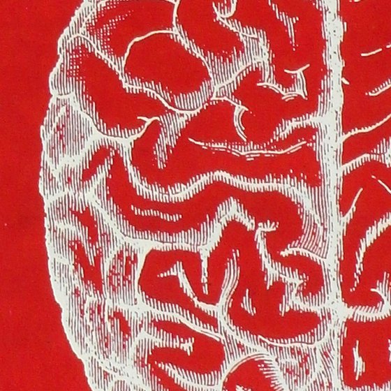 Order Chaos on Handmade Red Lacquered Paper, Medical Antique Heart and Brain Screen Print