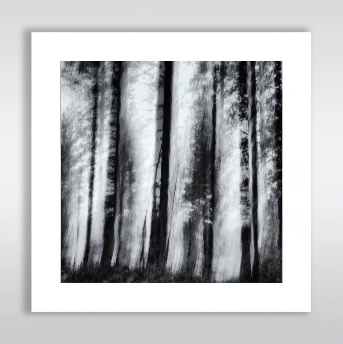 Impressionistic Landscape Photograph By Karim Carella, 12 X 12", Conifers (Studio 6) - 10", Original Artwork