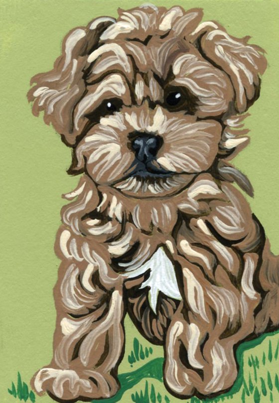 ACEO ATC Original Miniature Painting Maltipoo Pet Dog Art-Carla Smale