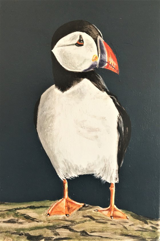 Standing Puffin
