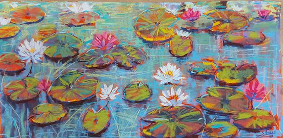 Water lily pond