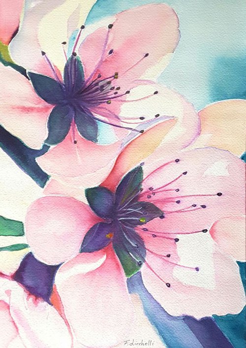 Cherry blossoms by Francesca Licchelli