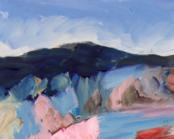 Moorland in Bloom