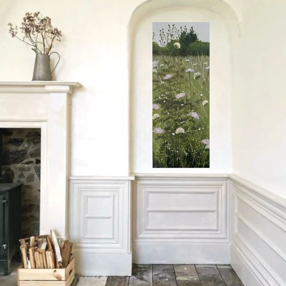 Wild Scabious Meadow