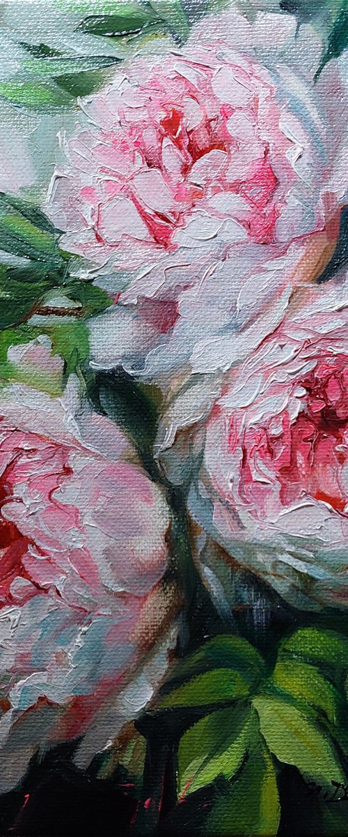 Peony oil painting original canvas art, Pink flowers painting small sizel by Nataly Derevyanko
