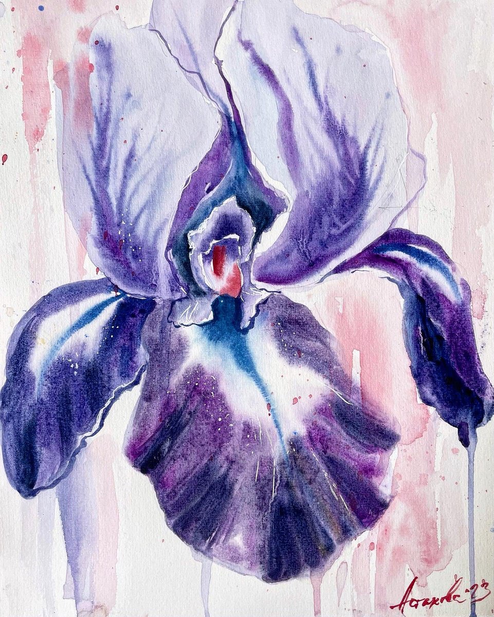 Impressionistic Botanical Watercolour By Ksenia Astakhova, 9 X 13", Purple & Red Iris, Original Artwork