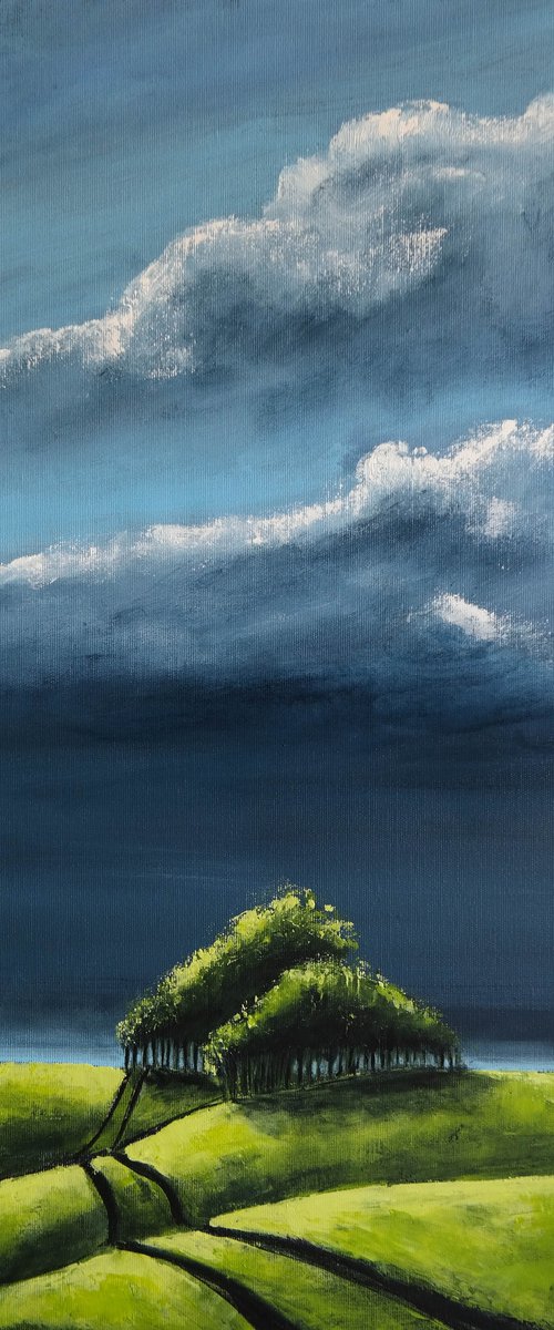 Stillness of the storm - Fields and Colors Series by Danijela Dan