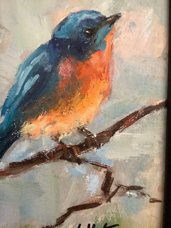 Bluebird