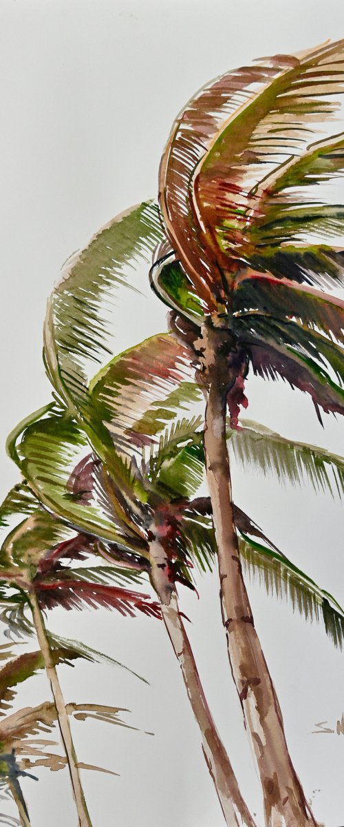 Wind on Tropical Islan, Coconut Palm Trees by Suren Nersisyan