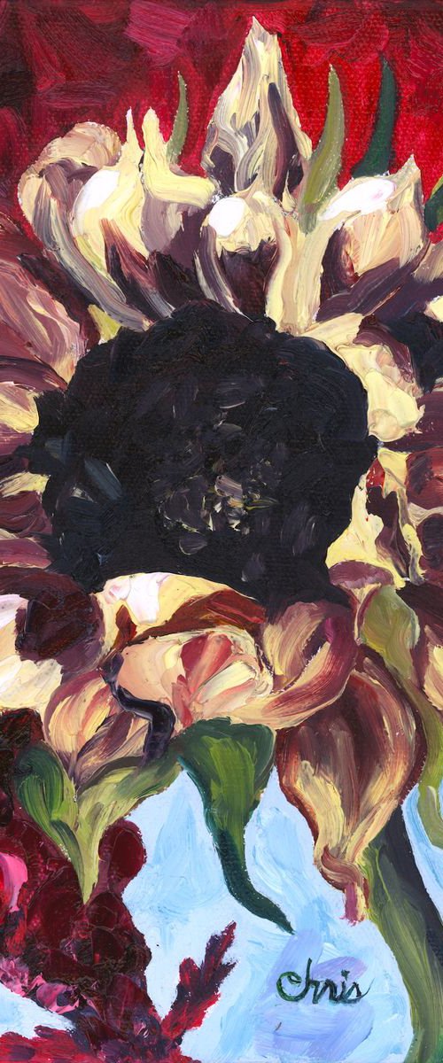 Blushing Sunflower with Red Cockscomb by Christina M Plichta