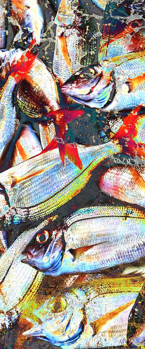 Photo Collage Fish Sea Sand by Yuliia Sharapova