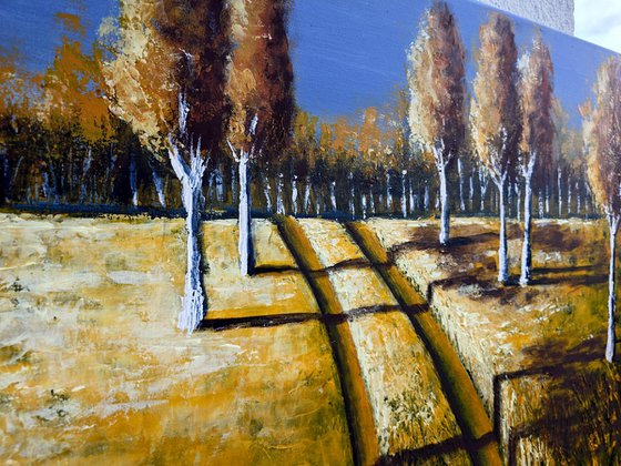 Long Shadows II