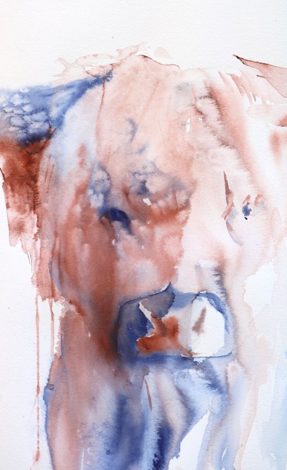 Highland Cow watercolour painting