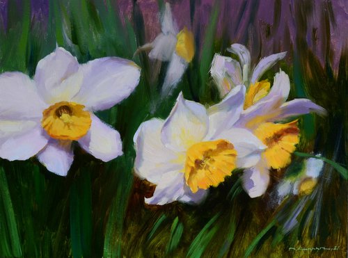 Daffodils by Ruslan Kiprych