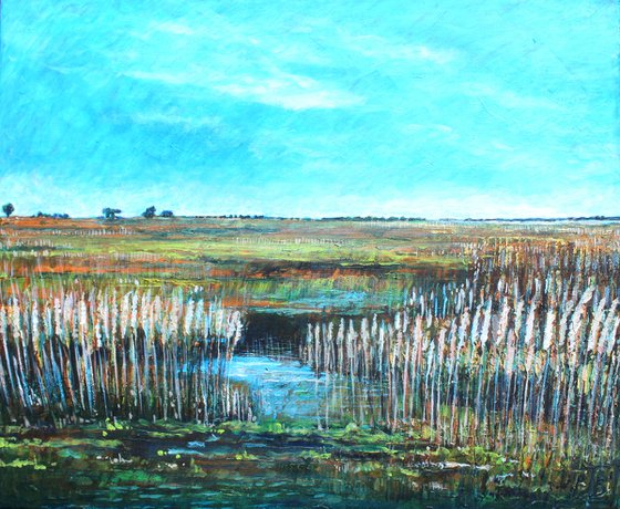 Warsash Reedbeds