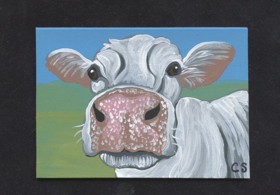 ACEO ATC Original Miniature Painting White Cow Farmyard Art-Carla Smale