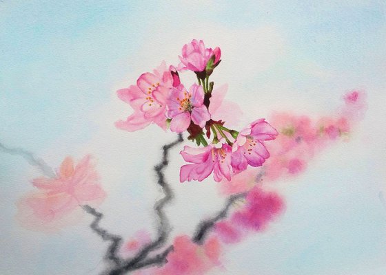 Cherry Blossoms - Sakura - Cherry tree branch - Spring