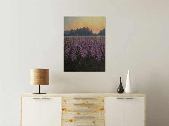 Sunset Over The Fireweed Field