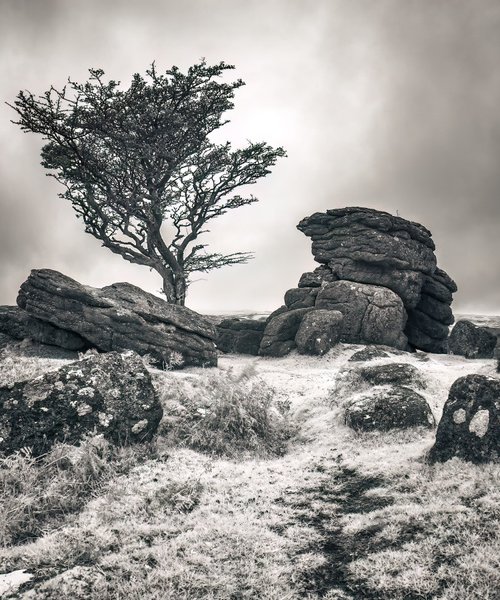 Saddle Tor Infrared by Paul Nash